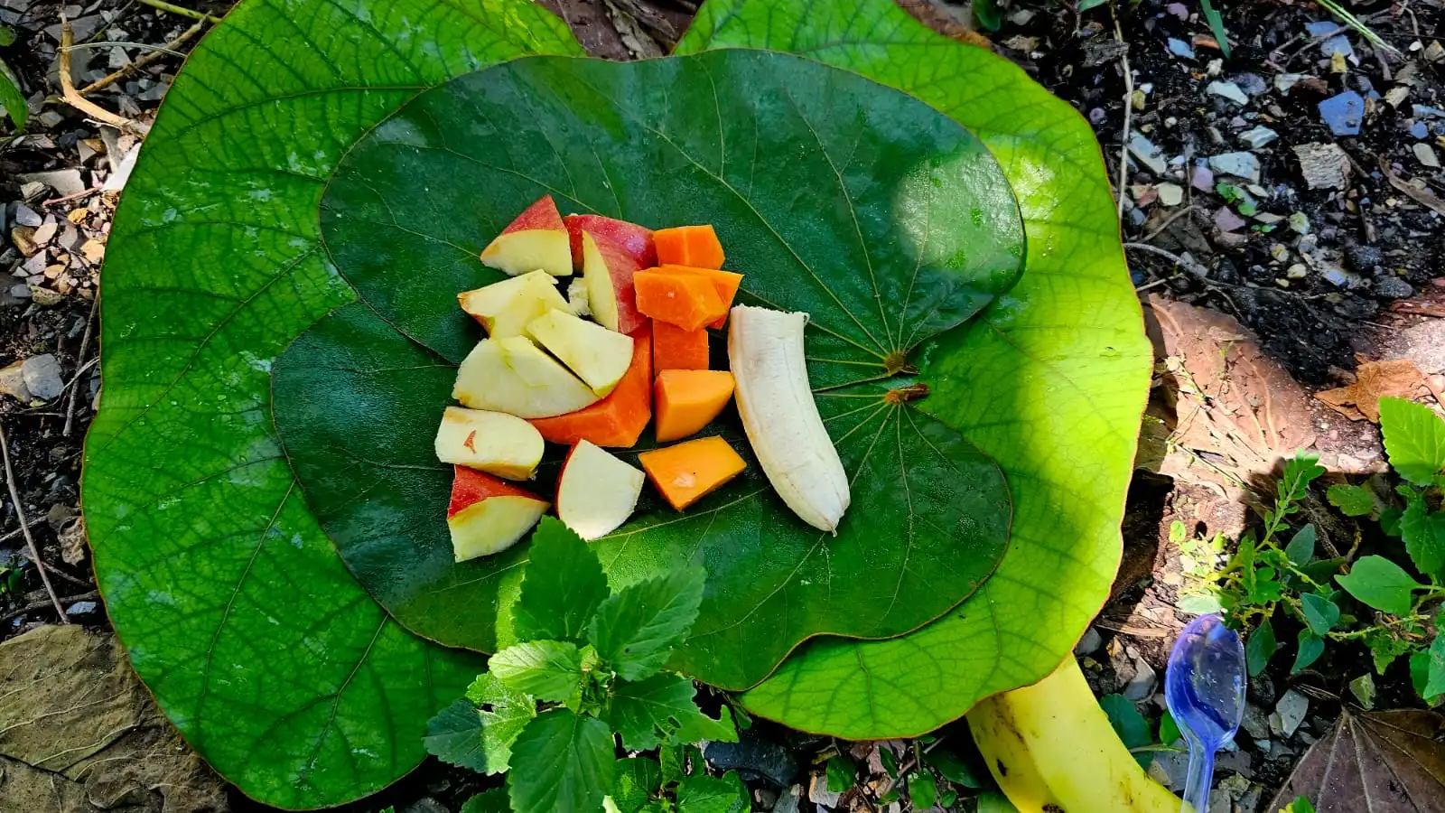 Fresh vegetables and nourishing food